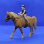 Mobile Preview: Tennessee Walker Stute Reitset